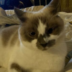 Meet your Posher, Karen